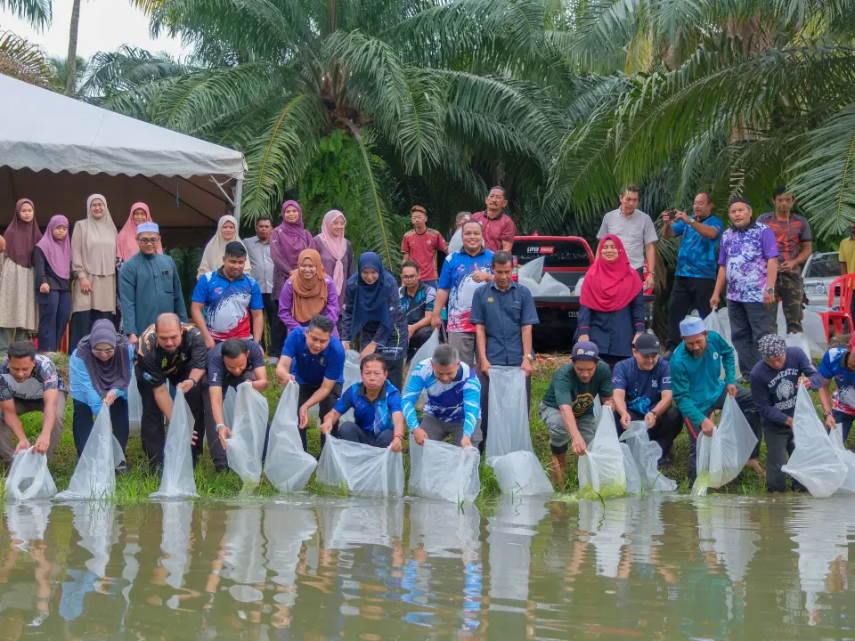Lebih 8,000 Anak Ikan Lampam Sungai Dilepaskan di Sungai Keluang Besar