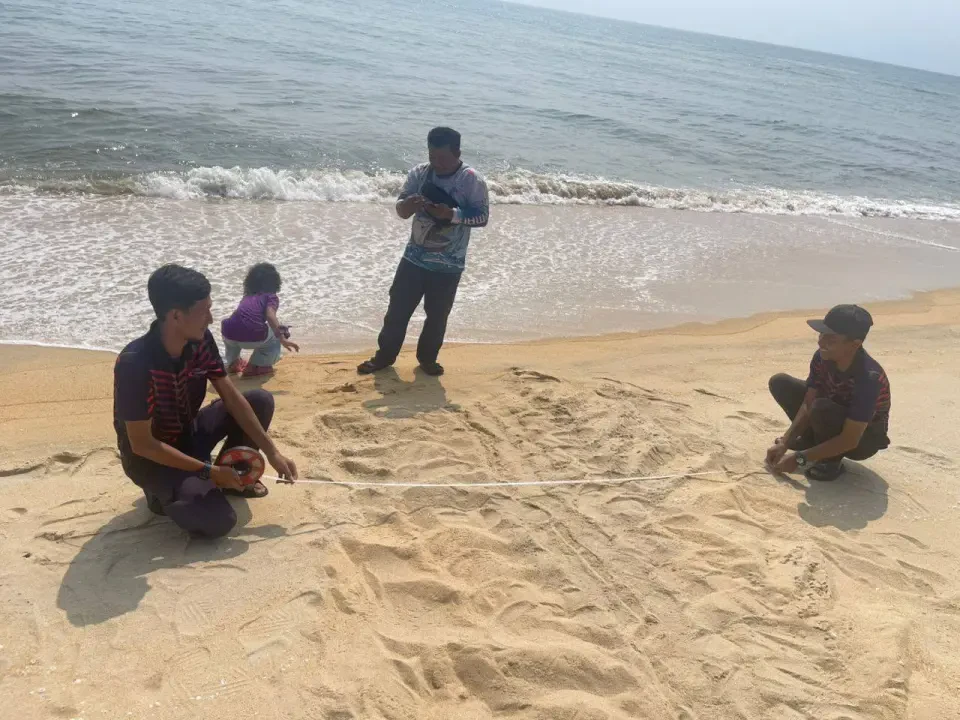 Penyu Belimbing Akhirnya Pulang Ke Terengganu
