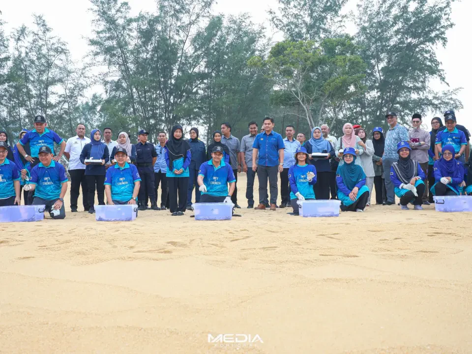 500 anak penyu agar dilepas ke laut di Ma’Daerah