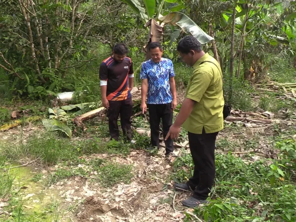 Pekebun Kampung Tepus Desak Tangani Segera Isu Gajah Liar 